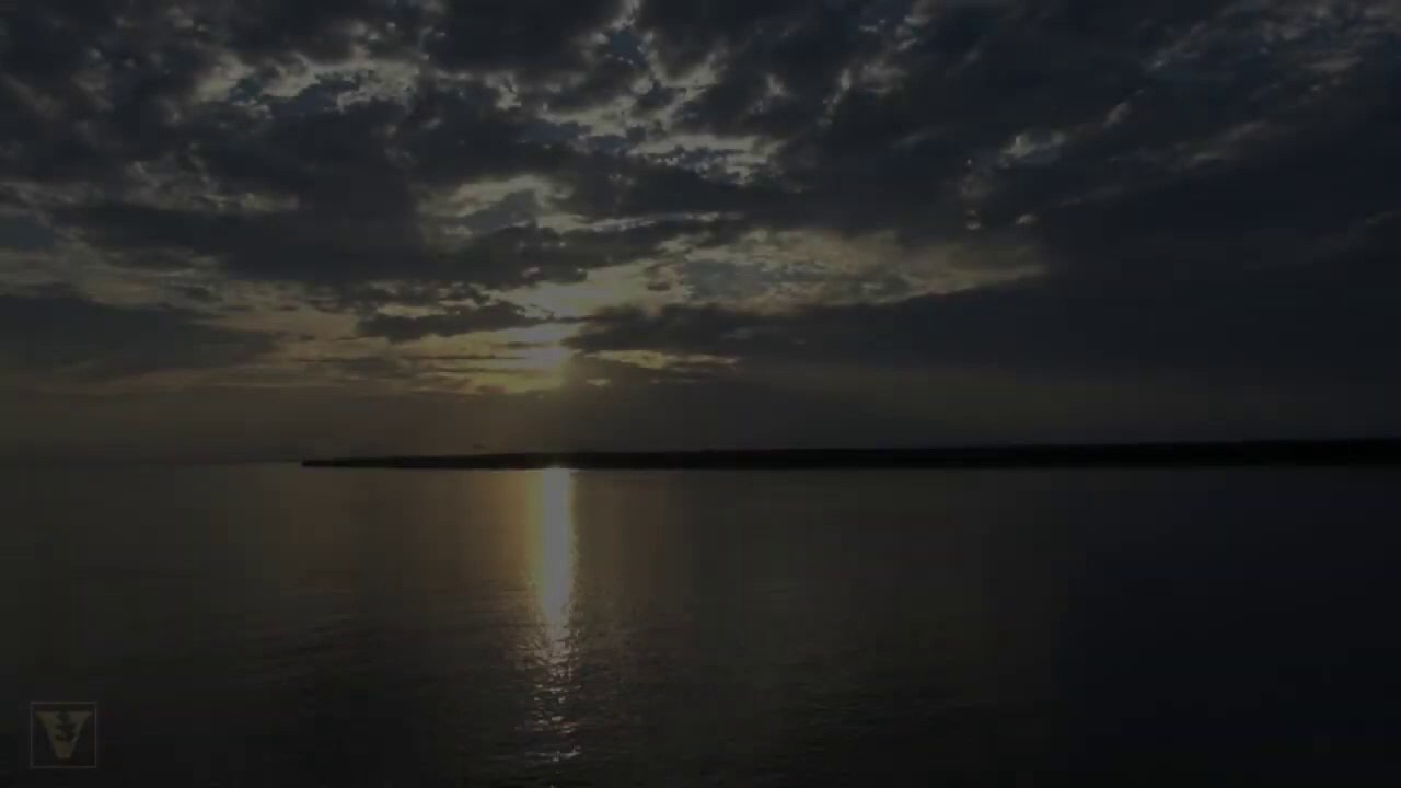 Electric eel uses high-voltage shocks to locate and stun prey--Vanderbilt research