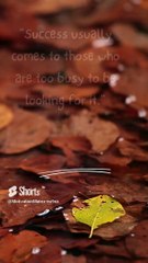 Motivation Matrix Quick Hits#shorts #motivation #daily #minute