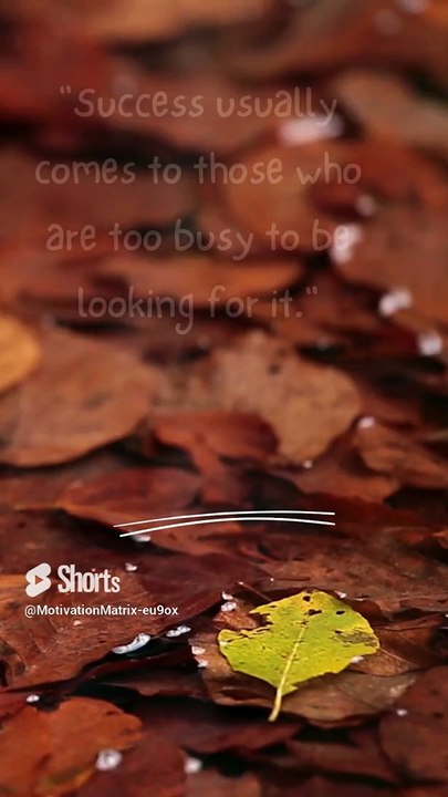 Motivation Matrix Quick Hits#shorts #motivation #daily #minute