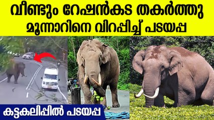 ദേശീയപാതയിൽ ഗതാഗതം തടസപ്പെടുത്തി മൂന്നാറിൽ പരക്കെ അക്രമവുമായി  പടയപ്പ
