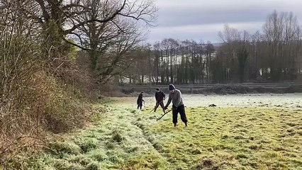 A Transition Town Wellington Boxing Day scything session in Linden Meadow.