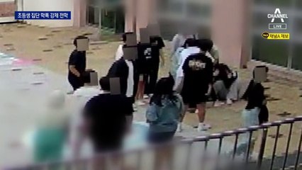 초등생 집단폭행에 ‘강제 전학’ 최고 징계