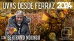 CAMPANADAS 2024 EN FERRAZ: Periodista Digital y Bertrand Ndongo 'dan las UVAS' protestando contra Sánchez