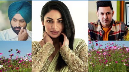 Exclusive Updates on Movies, Web Series, and Talented Actors