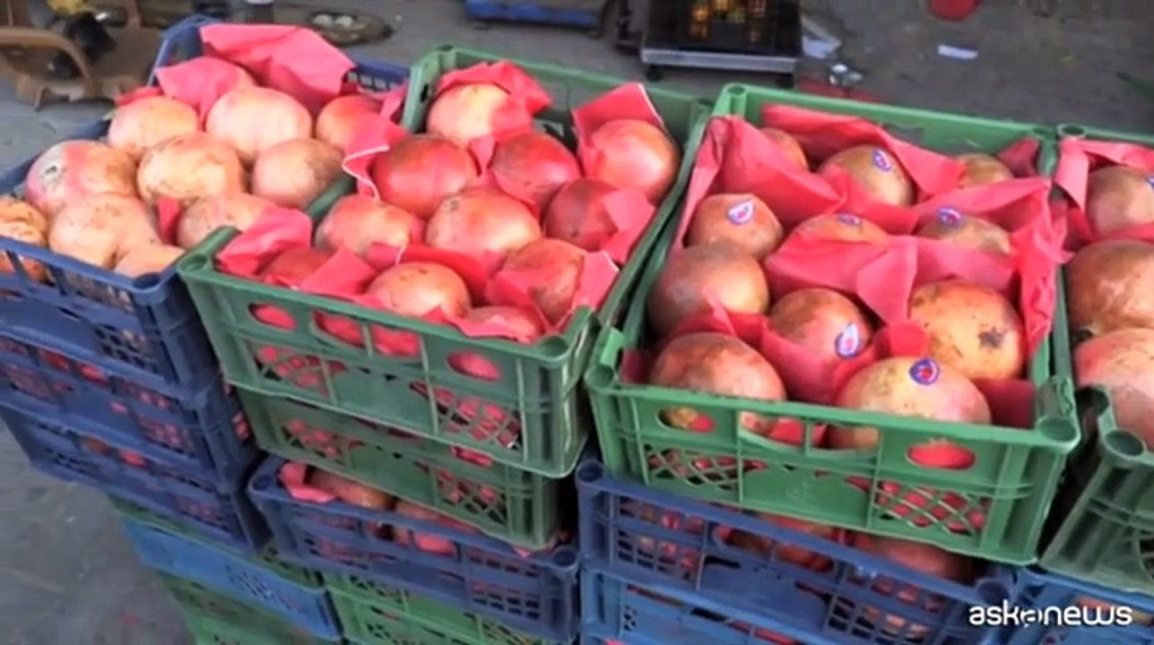 Frutta entra nella Striscia di Gaza, ? la prima volta da settimane