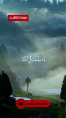 سورة النساء