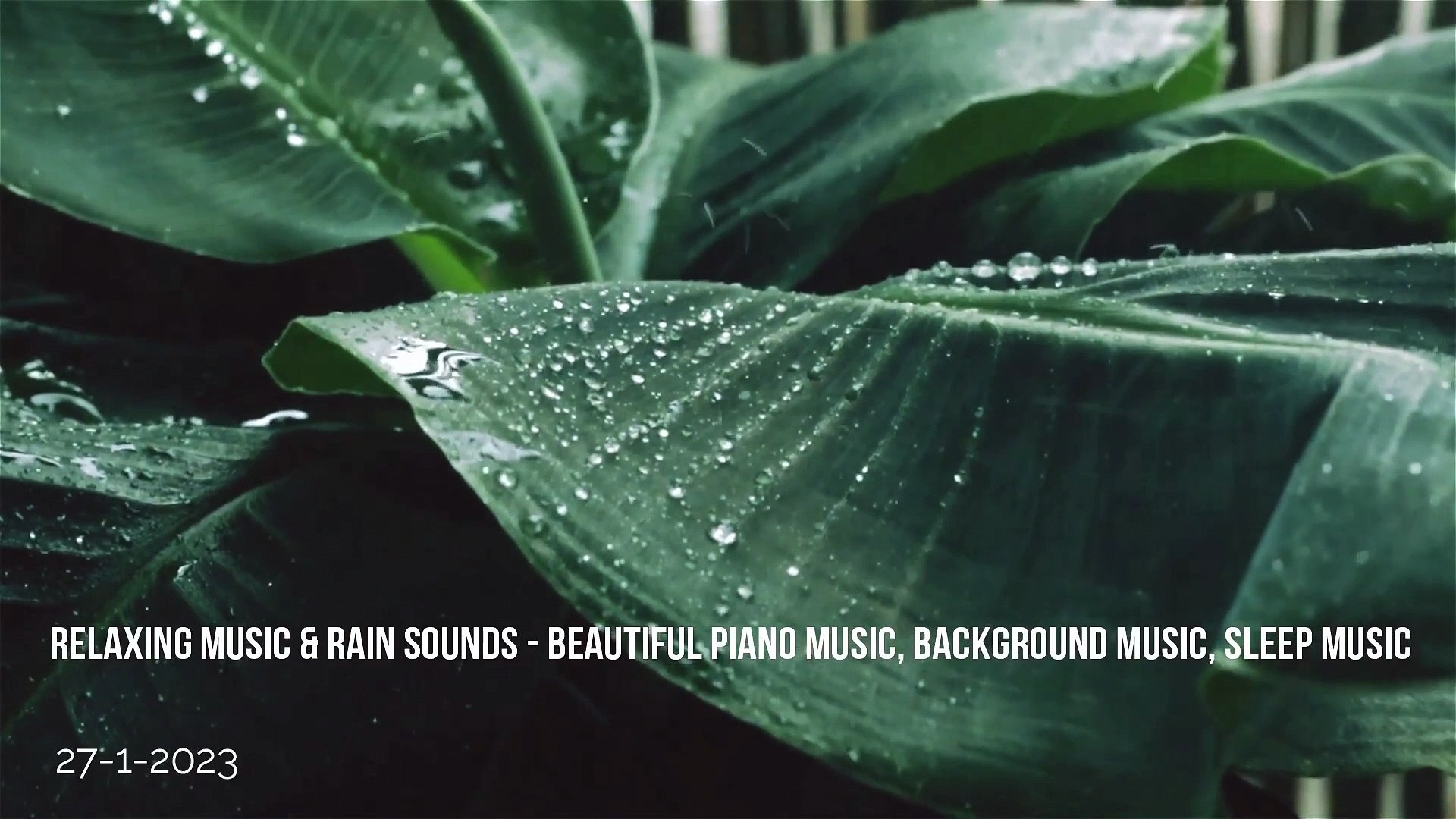 ⁣Relaxing Music & Rain Sounds - Beautiful Piano Music, Background Music, Sleep Music