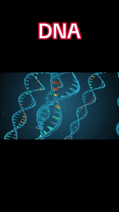 DNA