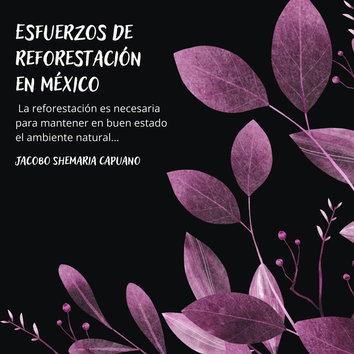 -Jacobo Shemaria Capuano- Esfuerzos de reforestación en México: (Parte 1) (Creado por @JacoboShemariaCapuano)