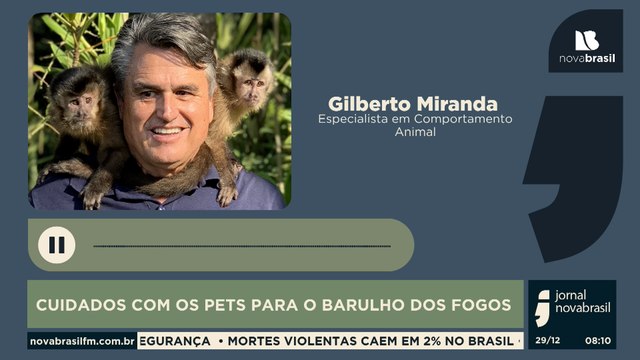 CUIDADOS COM OS PETS PARA O BARULHO DOS FOGOS