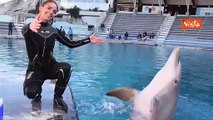 Festa al parco Oltremare di Riccione, la delfina Mia compie 15 anni