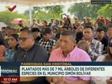 Ministerio de Ecosocialismo plantó más de 7 mil árboles en el estado Anzoátegui