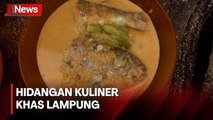 Cicip Gurihnya Gulai Taboh, Hidangan Khas Pesisir Barat Lampung yang Menggugah Selera