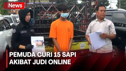 Nekat Curi 15 Ekor Sapi Akibat Kecanduan Judi Online, Pemuda di Sleman Ditangkap