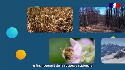 VOEUX 2024 de l'IGEDD