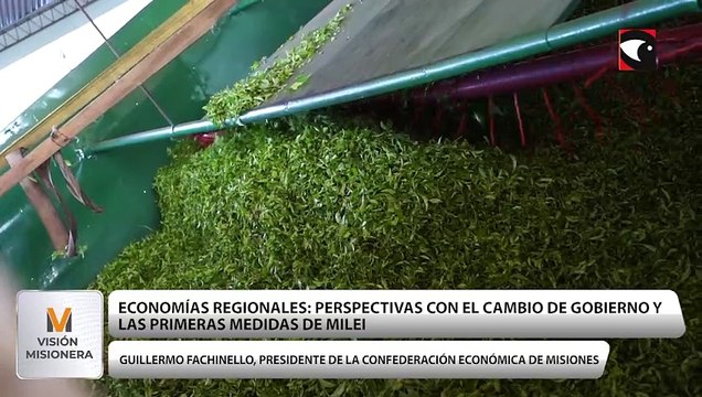 Guillermo Fachinello sobre las proyecciones tras el cambio de Gobierno: “En Misiones tenemos una fortaleza importante que es la diversidad de producción”