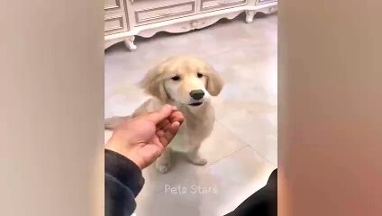 #ytshortsindia morsomt haha #comedys #babs #comedyshorts #cuteanimals #ytshortsindia​​​ #cutebaby #comdy #comedys #babs #comedyshorts #cuteanimalsytshortsindia #ytshortsindia 有趣哈哈 #cutebaby #comdycomedys #ba# Comedyshorts #cuteanimals#ytshortsindia#ytshor