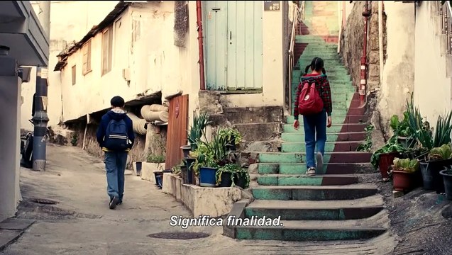 'Vidas pasadas' - Tráiler oficial subtitulado