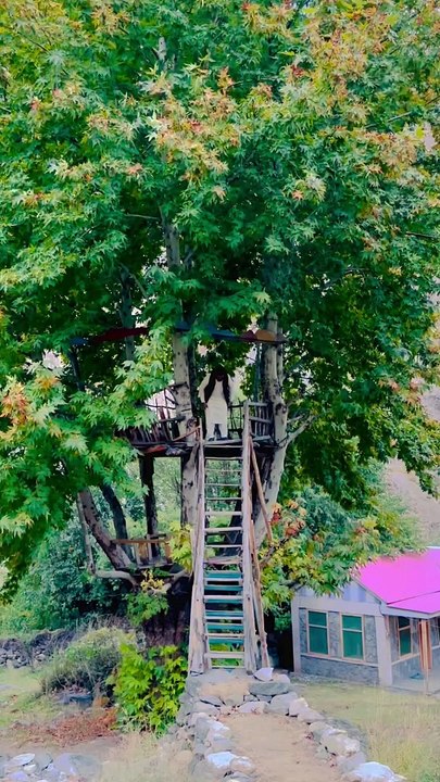 InshaAllAH  MPA PP111 RanaAli Anwaar Naro #teamranaalinaro #MPA #PP111   #qualitytime #Ghizer #ghizervalley