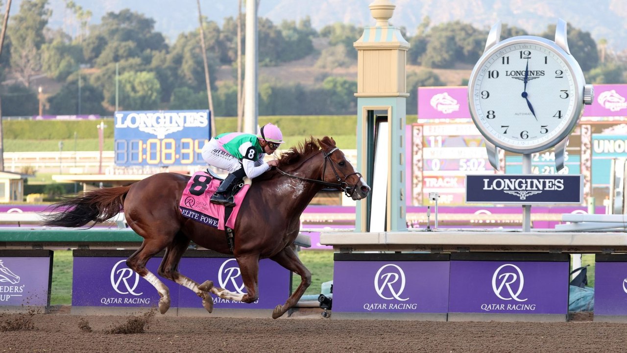 Horse Racing Industry Worried Over Falling Bett...