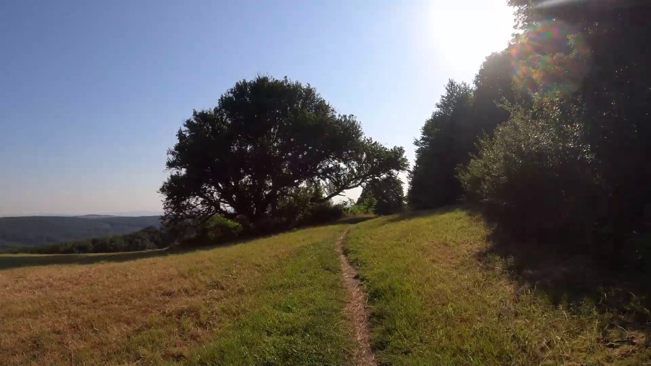 Birnbaumwiese | MTB Babenberger-Strecke (4)