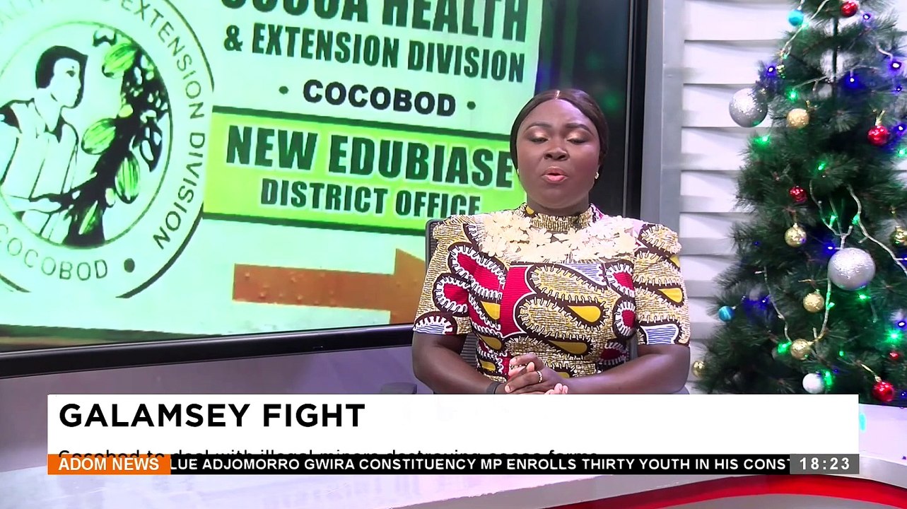 Adom TV News (29-12-23)