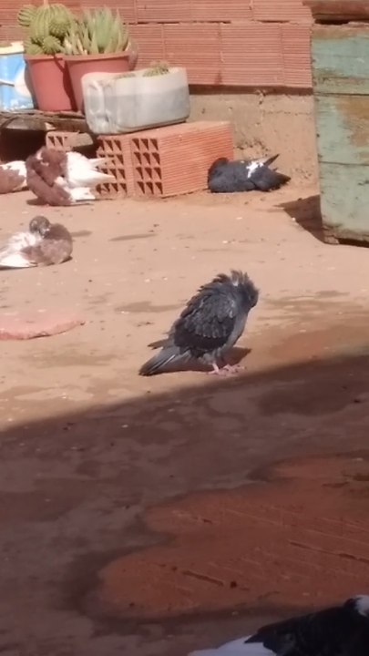Bath after shower
