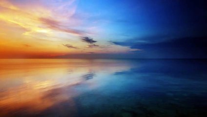 Seiko Prospex Marinemaster SJE099J1