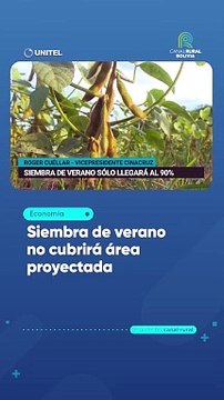 Siembra de verano no cubre área proyectada ante la falta de lluvia, según productores