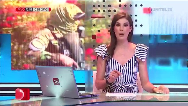 Dircabi prevé entregar en alquiler los bienes confiscados a Marset