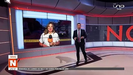 Cámaras captan a los dos delincuentes chilenos robando una casa
