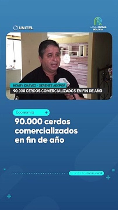 90.000 cerdos comercializados en fin de año