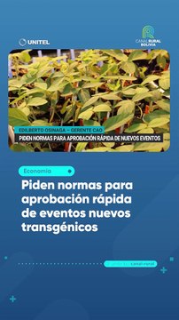 Piden normas para aprobación rápida de eventos nuevos transgénicos