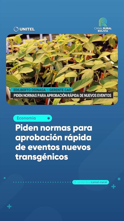 Piden normas para aprobación rápida de eventos nuevos transgénicos