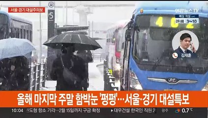 올해 마지막 주말 함박눈 '펑펑'…서울·경기 대설특보