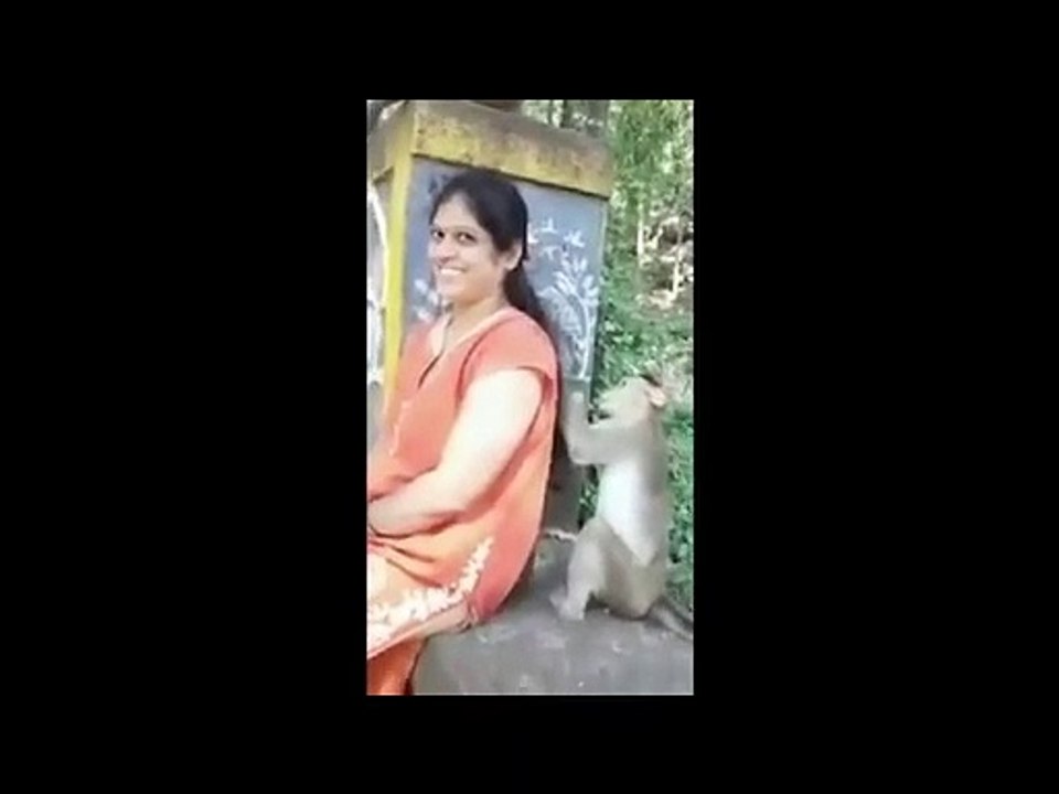 Funny Indian Animal - Viral Indian Video - Desi Viral - video Dailymotion