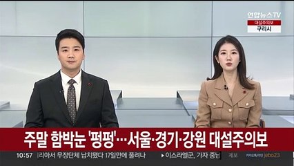 주말 함박눈 '펑펑'…서울·경기·강원 대설주의보