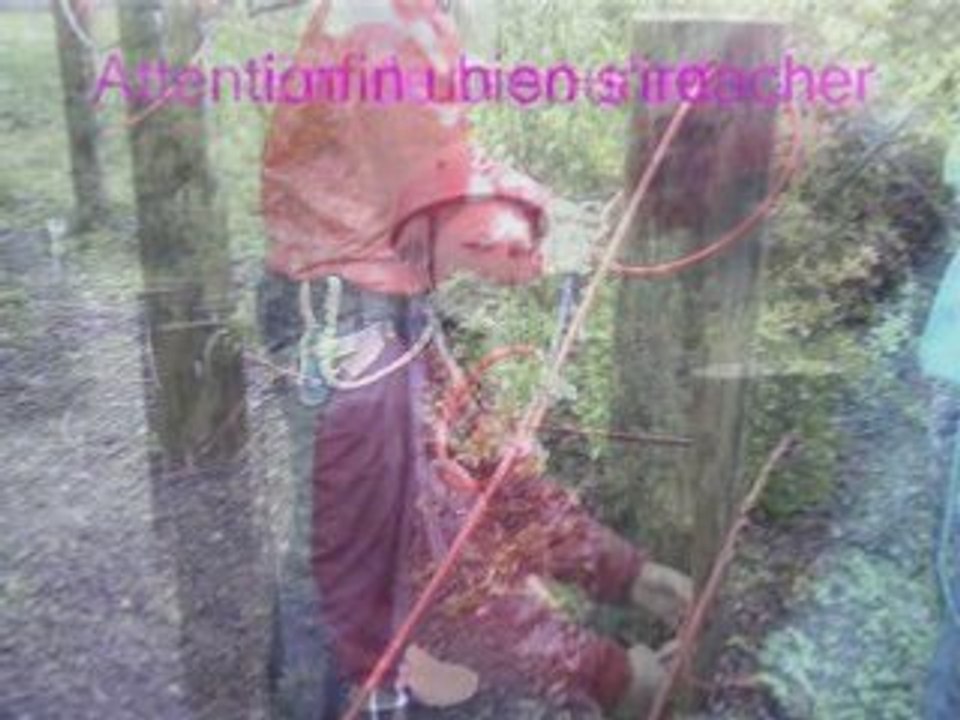 La journée a l'accro-branche