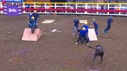 Toros - El Reto del 7 28 Diciembre 2023