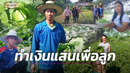 ผัวเมียชาวไร่ปิ๊งไอเดีย ปลูกกะหล่ำปลีทำเงินแสน | นิยายชีวิต เดลินิวส์ 31/12/66