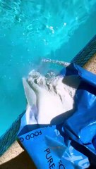Swimming pool cleaning