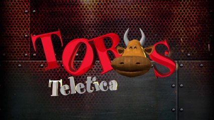 Toros 29 Diciembre 2023