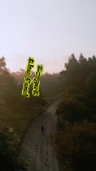 There is Nothing Like Walking