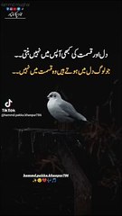 Dil aur qismat