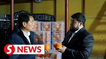 Demand rises for Chinese fruits in Central Asia, other countries before New Year