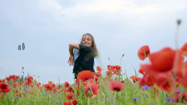 Eu Adoraria Que Você me Quisesse |Lobo - I'd Love You To Want Me | Harmonica Cover #dailymotion #lobo #music #harpmanofperth