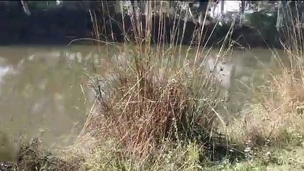 BRB canal nehar Lahore near India Pakistan border