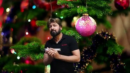 Jingle Bells | Christmas Carols | Harmonica Music #harpmanofperth #dailymotion #christmas