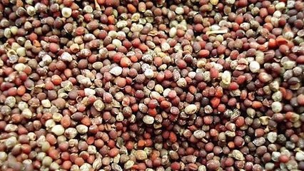 Sağlıklı beslenmek isteyen bu trendi takip ediyor: Aktarlarda yok satan bu besini yoğurtla kaşık kaşık tüketin