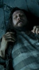 Sirius Black médiocre dans Harry Potter ?